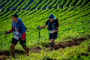 BIB: 481
                            <button type="button" onclick="openModal(19160456)" class="btn btn-primary btn-sm float-right btn-popup" data-toggle="modal" data-target=".modal-high-quality">
                        <i class="fas fa-shopping-cart"></i> Add to Cart
                    </button>
                                            <button type="button" onclick="isThisMe(19160456, true)" class="btn btn-success btn-sm float-right btn-popup btn-isme hidden" data-toggle="tooltip" data-placement="bottom" title="นี่คือรูปของคุณใช่ไหม คลิกที่นี่เพื่อเอาเข้าอัลบั้ม">
                        <i class="fas fa-plus"></i> Add to album
                    </button>
                    <button type="button" onclick="isThisMe(19160456, false)" class="btn btn-warning btn-sm float-right btn-popup btn-isnotme hidden">
                        <i class="fas fa-ban"></i> Remove from album
                    </button>